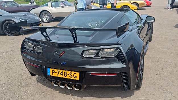 Stingray Lambertschaag