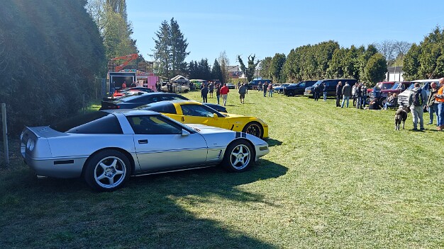 Cruise in Pelt Belgie